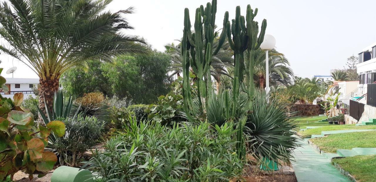 Heliopolis Lägenhet San Agustín Exteriör bild
